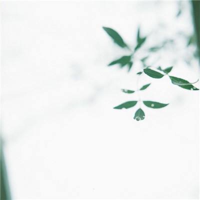 战神金刚手游下载
